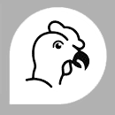 CONDOR