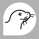 FOCA FOCA